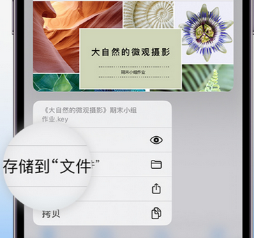 五常apple维修中心分享iPhone文件应用中存储和找到下载文件