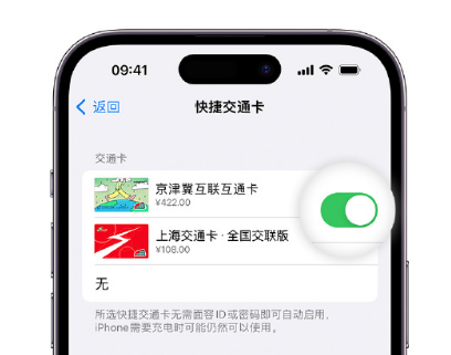 五常apple维修点分享iPhone上更换Apple Pay快捷交通卡手绘卡面 