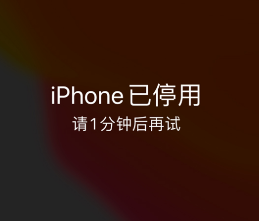 五常苹果手机维修分享:iPhone 显示“不可用”或“已停用”怎么办？还能保留数据吗？ 