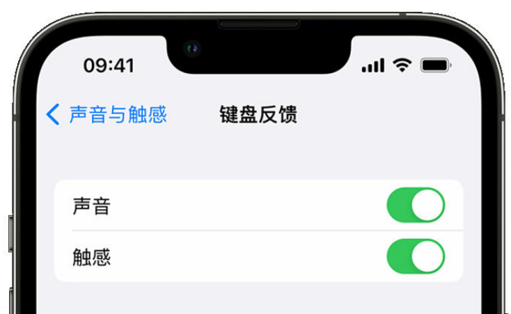 五常苹果手机维修分享iPhone 14触感键盘使用方法 