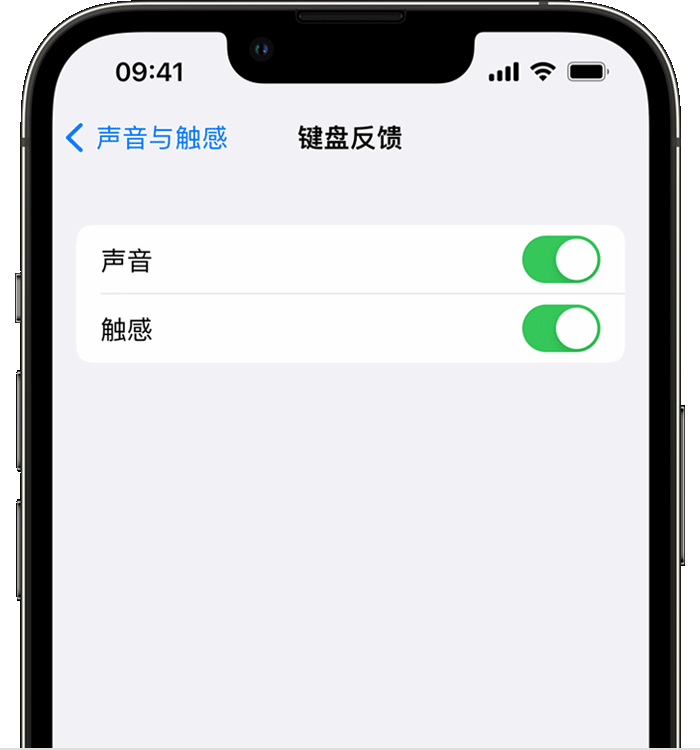 五常苹果14维修店分享如何在 iPhone 14 机型中使用触感键盘 