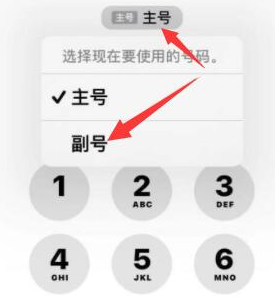 五常苹果14维修店分享iPhone 14 Pro Max使用副卡打电话的方法 