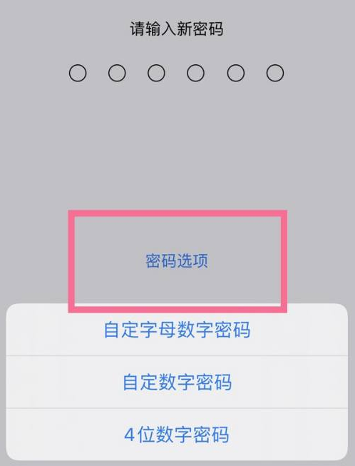 五常苹果14维修分享iPhone 14plus设置密码的方法 