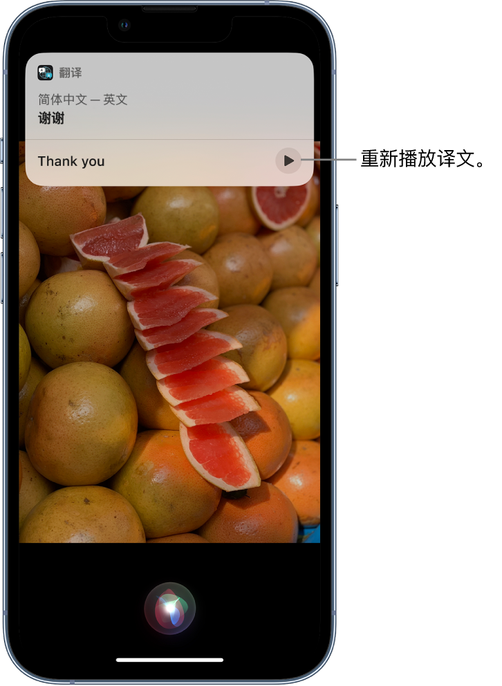 五常苹果14维修分享 iPhone 14 机型中使用 Siri：了解 Siri 能帮你做什么 