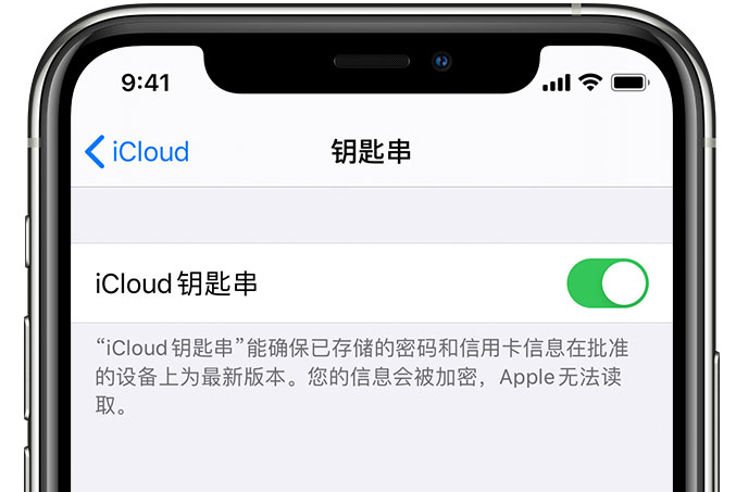 五常苹果手机维修分享在 iPhone 上开启 iCloud 钥匙串之后会储存哪些信息 