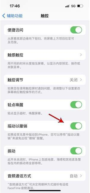 五常苹果手机维修分享iPhone手机如何设置摇一摇删除文字 