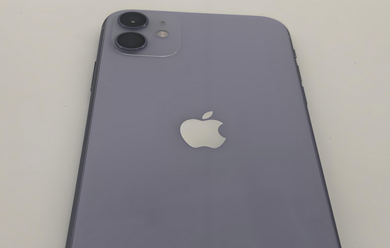五常苹果11系统维修分享iPhone11手机系统崩溃无法开机如何解决 